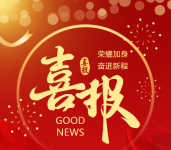 喜報｜弘典咨詢招標采購連獲三項行業(yè)殊榮，專業(yè)服務再獲認可！